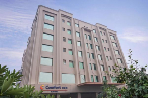  Comfort Inn Alstonia  Холл Базар